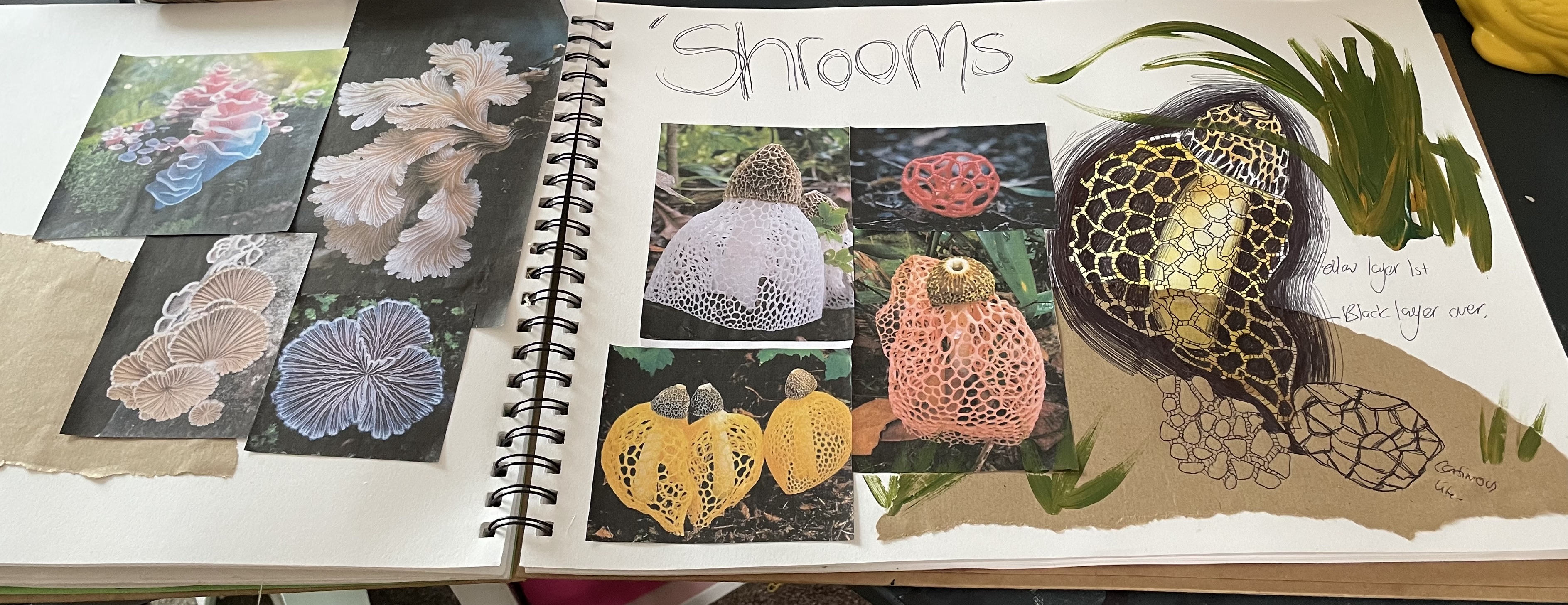 Sketchbook Page showing mushroom studies