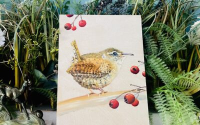 Birds