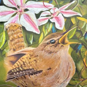 Wren with Clematis