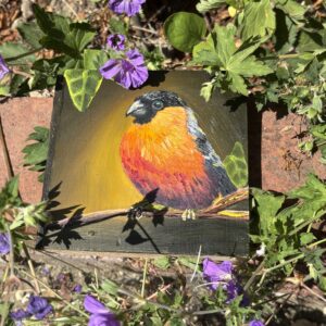 Katie Thomas Bullfinch