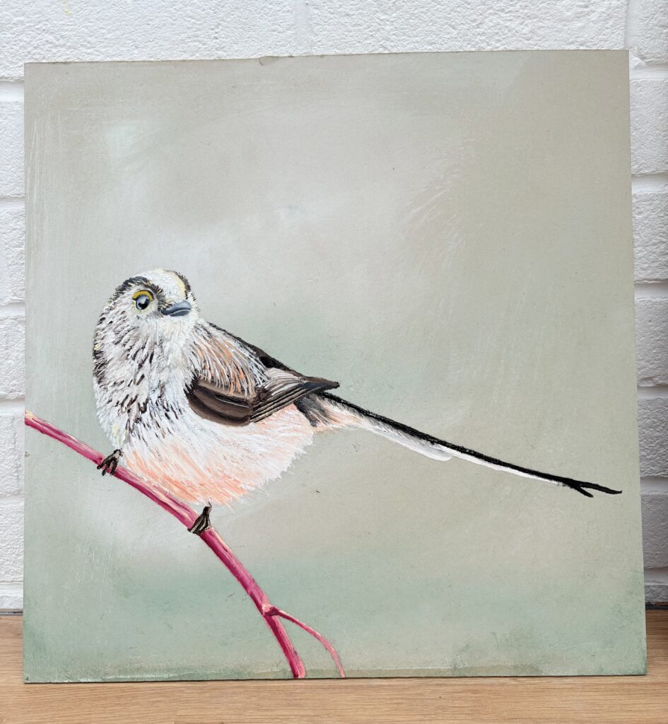 Katie Thomas Long Tailed Tit
